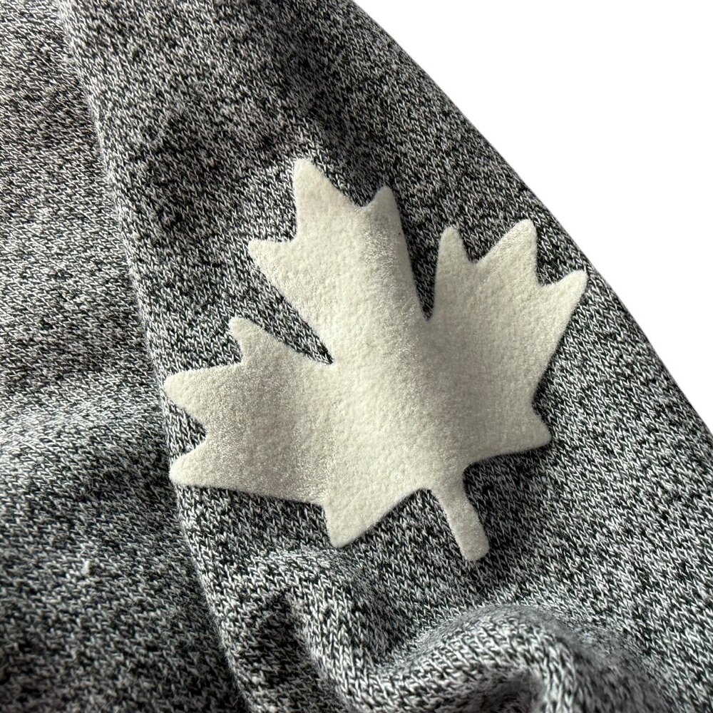 NEW ROOTS Whistler Kanga Hoody Hooded Pullover Sweatshirt Heathered Gray Small - Picture 2 of 10